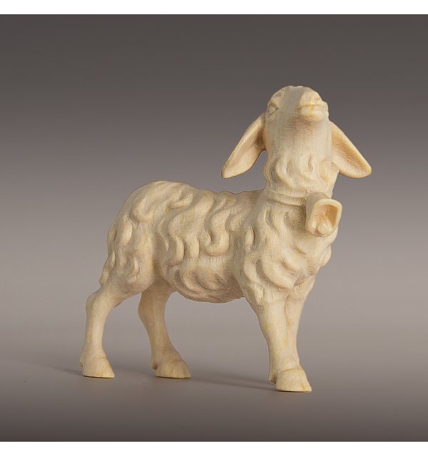 6146 - Schaf mit Glocke OTTO NATUR