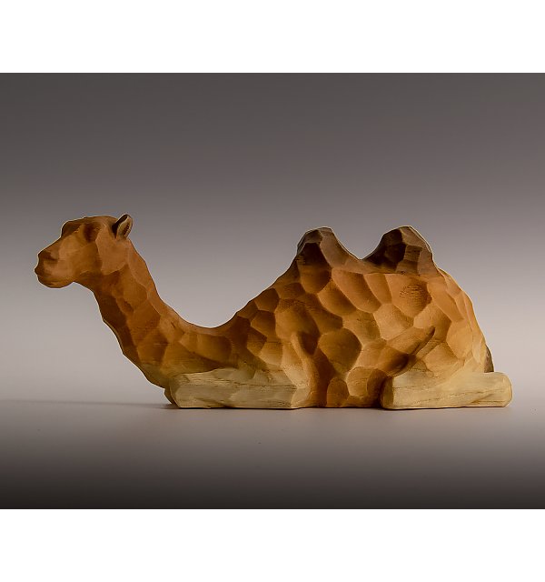 5535 - Camel ANNA COLOR