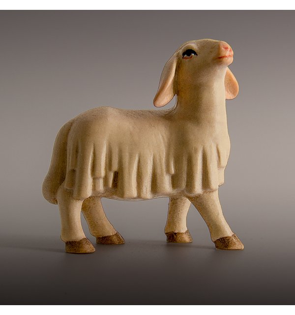 8040 - Sheep FLORIAN COLOR