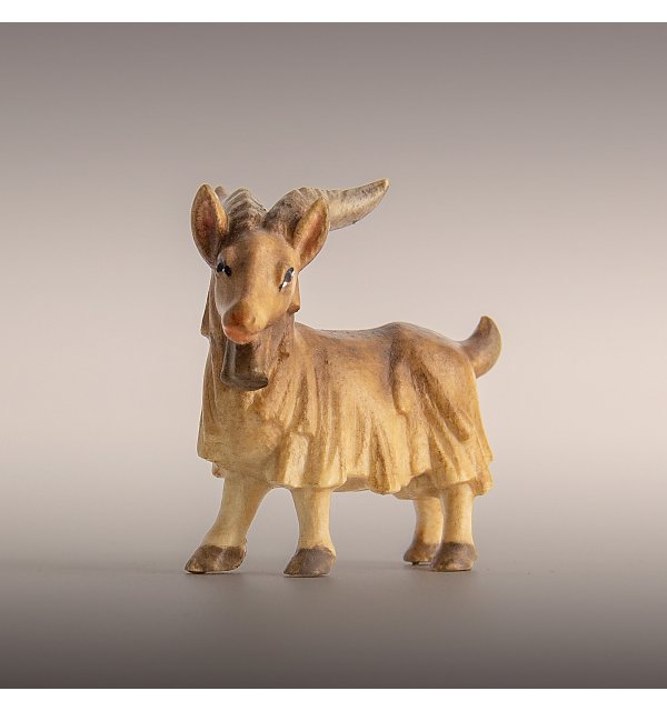 8050 - Goat standing FLORIAN COLOR