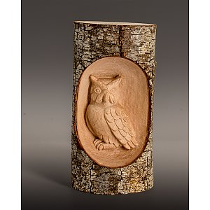 3354 - Tree trunk owl