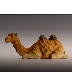 5535 - Camel ANNA