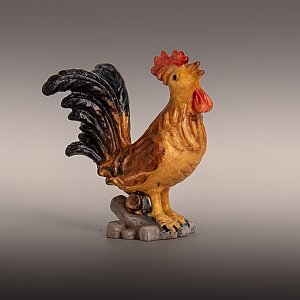 6163 - Rooster OTTO