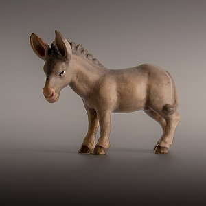 8031 - Donkey standing FLORIAN