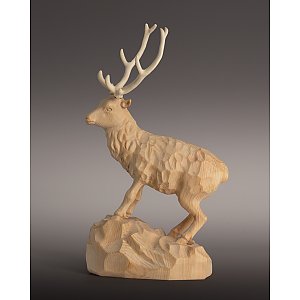 9004 - Red deer